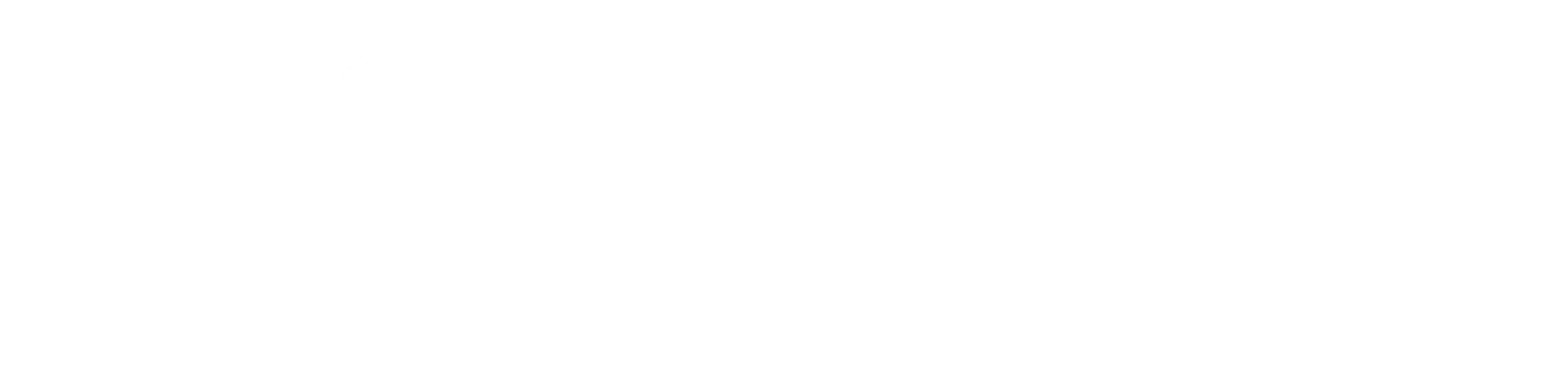 DIGICONN
